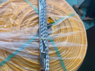 MUA CÂY HÀN BĂNG CẢN NƯỚC Ở SÀI GÒN GIÁ RẺ